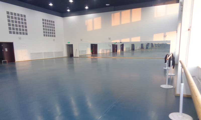 沈陽市渾南新區沈陽歌舞團舞蹈地板