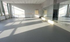 河北石家莊荔枝紋運動地板